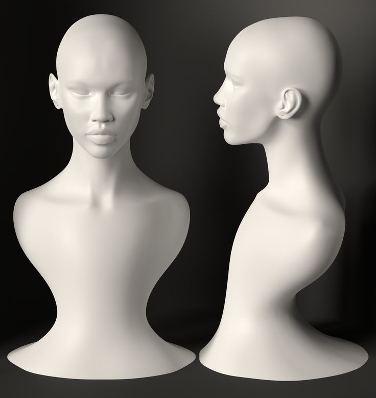 Busto personalizado - Gecko